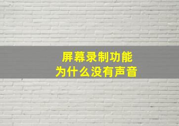 屏幕录制功能为什么没有声音