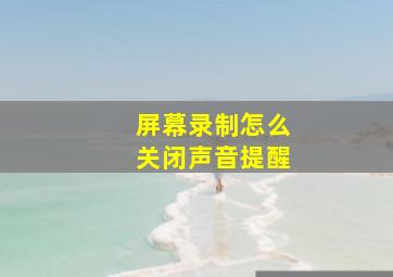 屏幕录制怎么关闭声音提醒