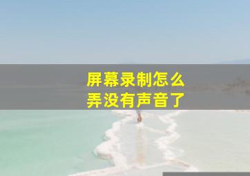 屏幕录制怎么弄没有声音了