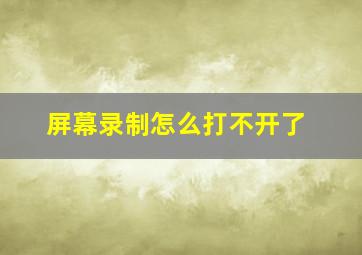 屏幕录制怎么打不开了