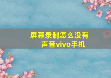 屏幕录制怎么没有声音vivo手机