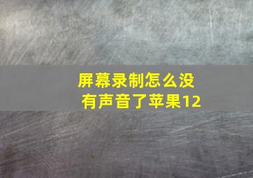 屏幕录制怎么没有声音了苹果12