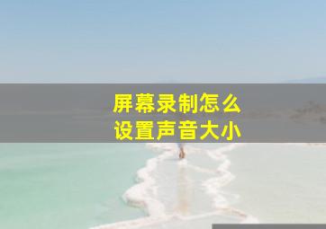 屏幕录制怎么设置声音大小