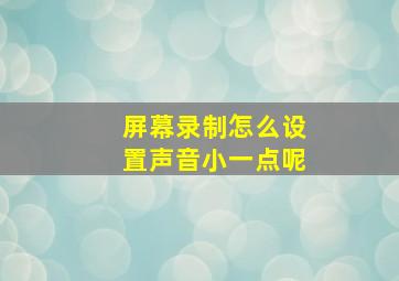 屏幕录制怎么设置声音小一点呢