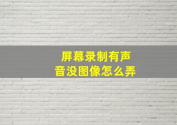 屏幕录制有声音没图像怎么弄