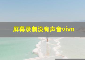 屏幕录制没有声音vivo