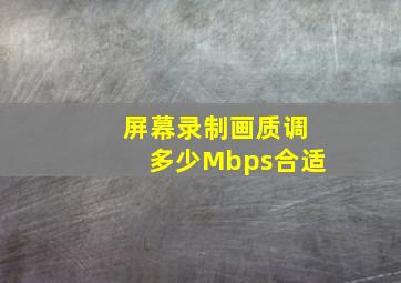 屏幕录制画质调多少Mbps合适