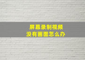 屏幕录制视频没有画面怎么办