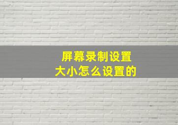 屏幕录制设置大小怎么设置的