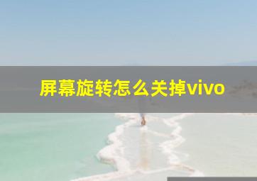 屏幕旋转怎么关掉vivo