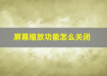 屏幕缩放功能怎么关闭