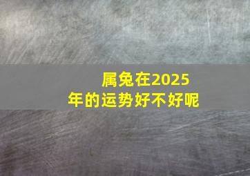 属兔在2025年的运势好不好呢