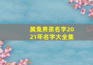 属兔男孩名字2021年名字大全集