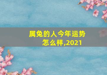 属兔的人今年运势怎么样,2021