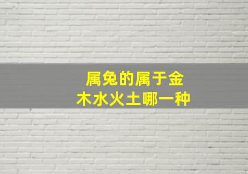 属兔的属于金木水火土哪一种