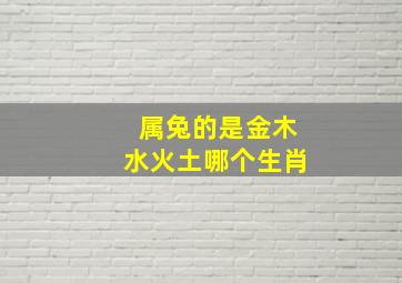 属兔的是金木水火土哪个生肖