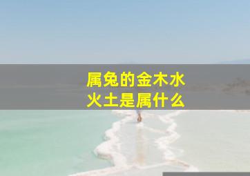 属兔的金木水火土是属什么