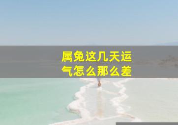 属兔这几天运气怎么那么差