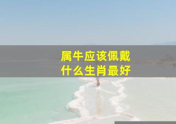 属牛应该佩戴什么生肖最好