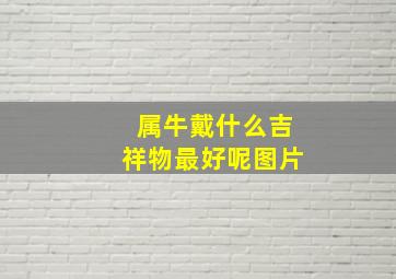 属牛戴什么吉祥物最好呢图片