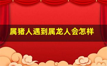 属猪人遇到属龙人会怎样