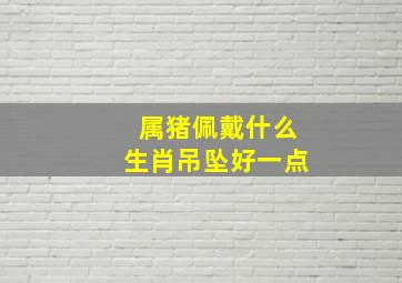 属猪佩戴什么生肖吊坠好一点