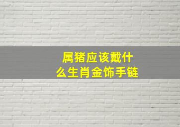 属猪应该戴什么生肖金饰手链