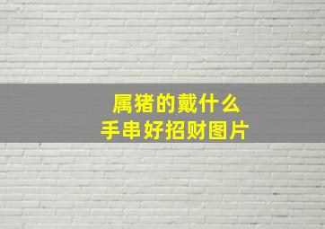 属猪的戴什么手串好招财图片