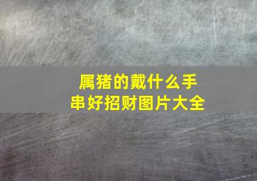 属猪的戴什么手串好招财图片大全