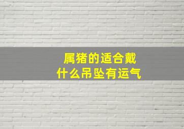 属猪的适合戴什么吊坠有运气