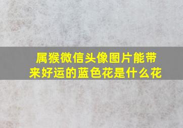 属猴微信头像图片能带来好运的蓝色花是什么花