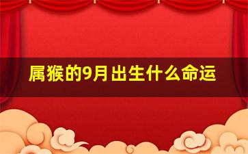 属猴的9月出生什么命运