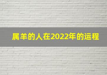 属羊的人在2022年的运程