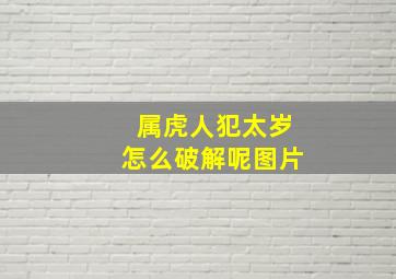 属虎人犯太岁怎么破解呢图片