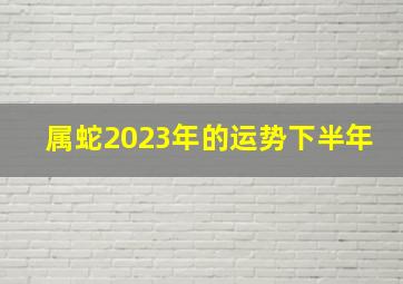 属蛇2023年的运势下半年