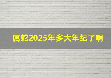 属蛇2025年多大年纪了啊