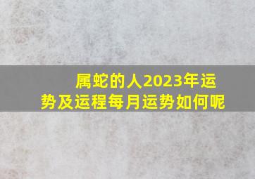 属蛇的人2023年运势及运程每月运势如何呢