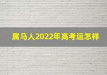 属马人2022年高考运怎样