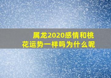 属龙2020感情和桃花运势一样吗为什么呢