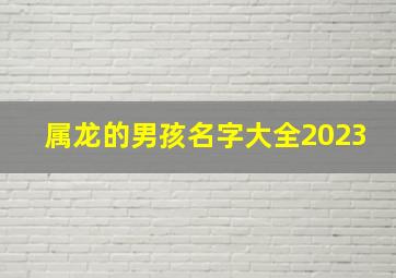 属龙的男孩名字大全2023