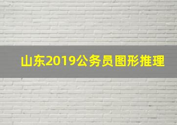 山东2019公务员图形推理