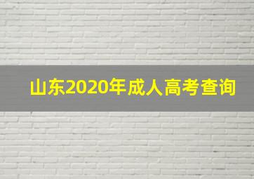 山东2020年成人高考查询