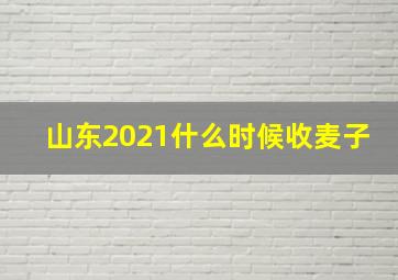 山东2021什么时候收麦子