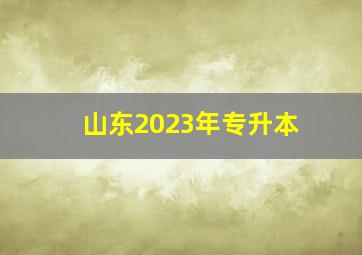 山东2023年专升本