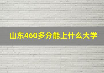 山东460多分能上什么大学