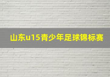 山东u15青少年足球锦标赛