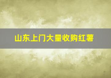 山东上门大量收购红薯