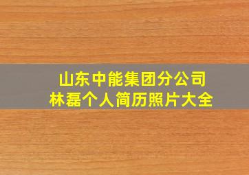 山东中能集团分公司林磊个人简历照片大全