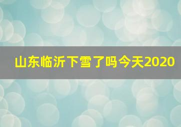 山东临沂下雪了吗今天2020