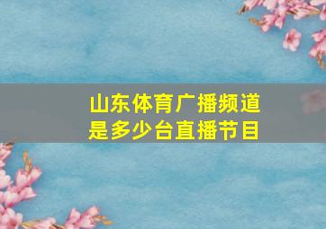 山东体育广播频道是多少台直播节目